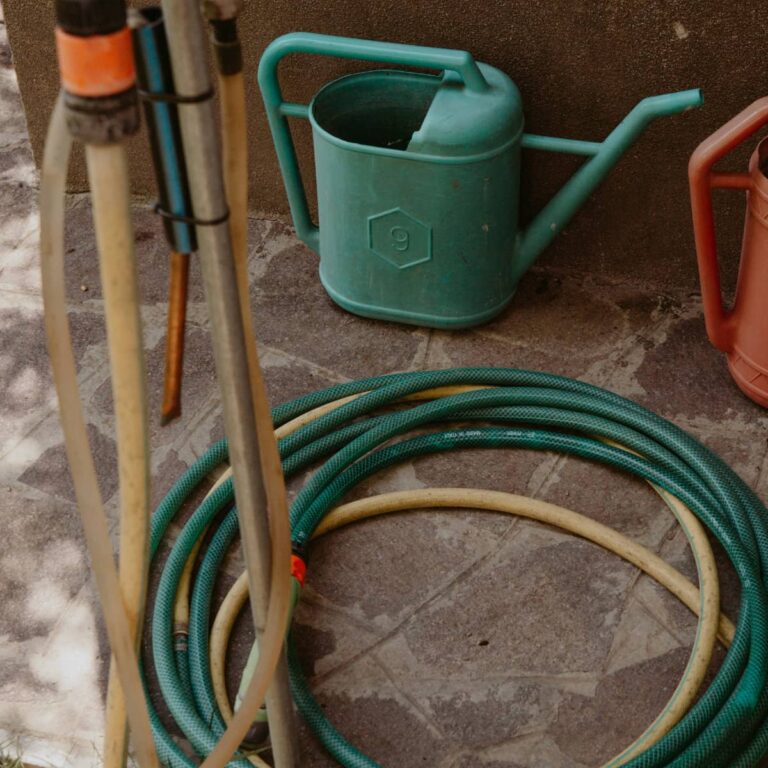 Photo of a garden hose.